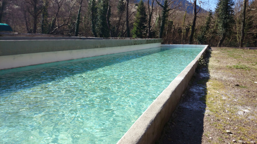 close-up of pond fish crops with trees and mountains in the background at 'Fresko'
